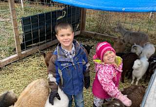 Hymas Family Farm Stay