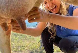 Hymas Family Farm Stay