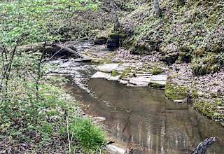 Peach Orchard Hollow