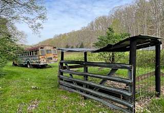 Peach Orchard Hollow