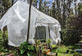 Treehouse Green Farm and Garden