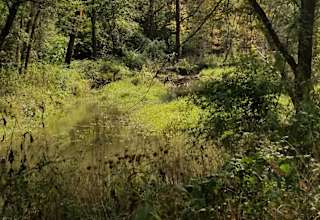Bear Bottom Ranch