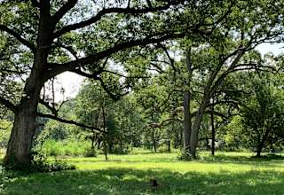 Bear Bottom Ranch