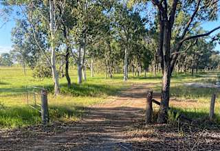 Carlton Farm, Hervey Bay