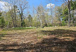 Mazinaw Lakeside RV Park&Campground