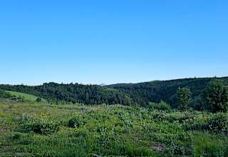 Moonlight Mine Acres