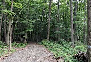 Harvey Hill Camp, Ithaca, NY