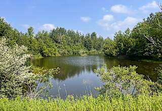 Rains Ranch