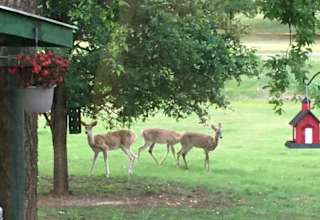 Brazos RV Resort