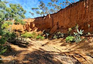 Burra Creek Camping