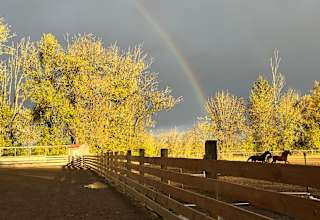 Territorial Farm Stay