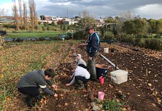JnJs Garden