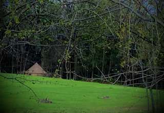 The Art Farm
