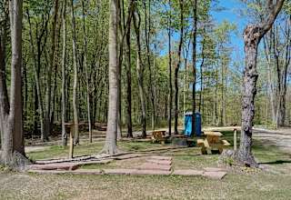 Back Road Ranch