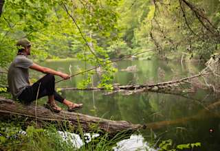 Wooded Camping at Pond