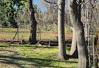 Tent Camp at Tuck & Bird Ranch