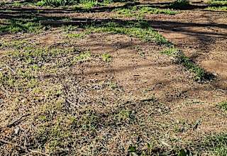 Tent Camp at Tuck & Bird Ranch