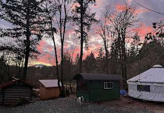 McAllister Creek Farm