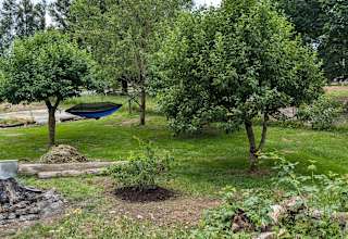 AppleTree Tent Site  ModernBathroom