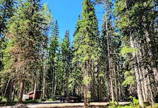 Whispering Forest Campground