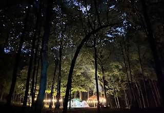 Private Forest Campsite