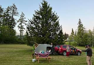 Camp Wildlife