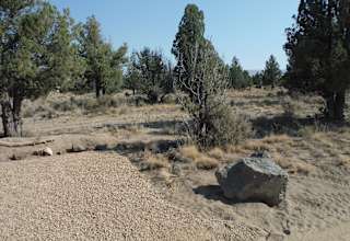 The Desert Rose camp