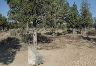 The Desert Rose camp