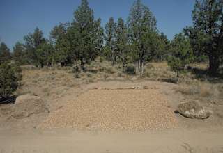 The Desert Rose camp