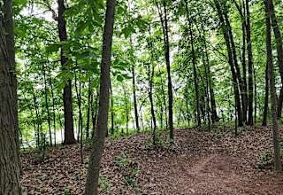 Waupaca River Retreat