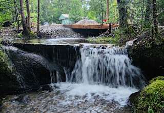Carter Brook primitive camping
