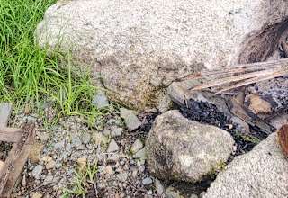 Carter Brook primitive camping