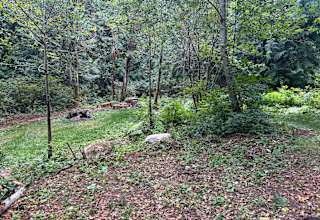 White Fir Camp