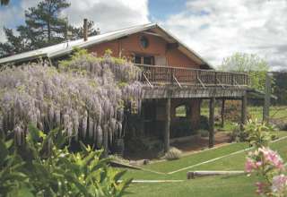 Mountford Wines & Cider Pemberton