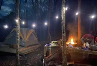 Blue Springs Mountain Top Escape