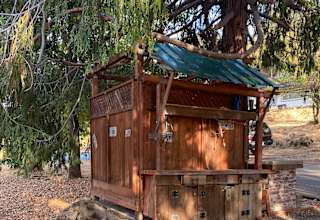 Camp Electra in Mokelumne Hill