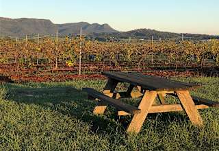 Mira Wines