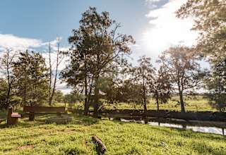 River Run Farm