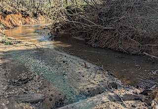 Bear's Woods at Camp Creek