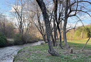 Creekside campsites