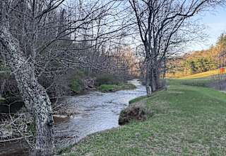 Creekside campsites