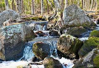 Stonybrook Cascade