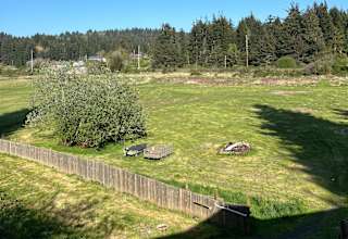The Field