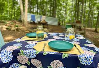 Blue Springs Mountain Top Escape