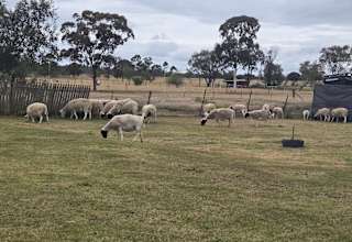 Chookhouse Farmstay Vale View