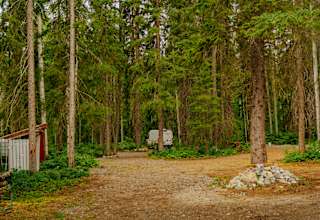 Whispering Forest Campground