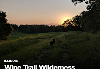 Wine Trail Wilderness