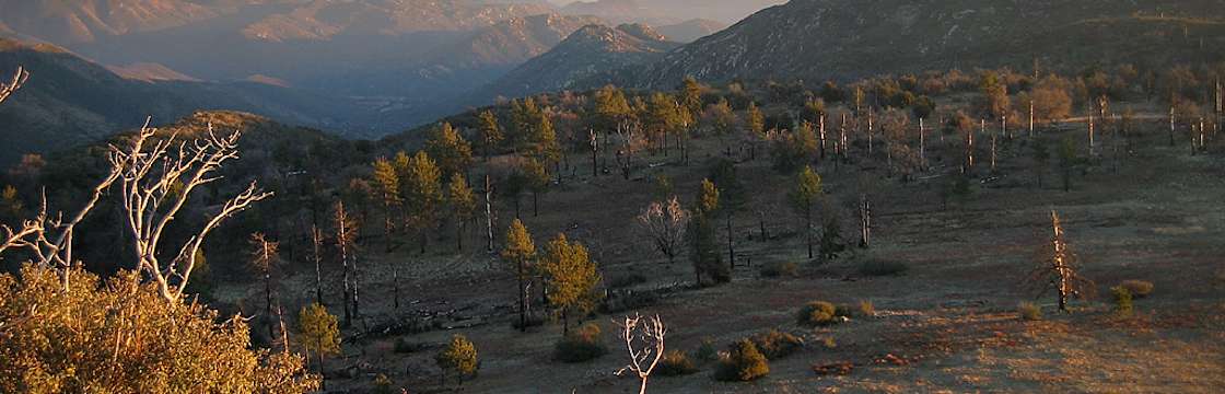 bobcat meadow campground