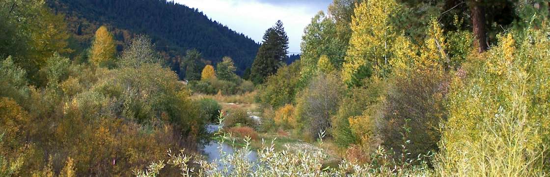 Feather falls trailhead campground top