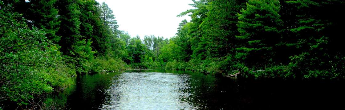 Bittersweet Wild Campground Northern Highland American Wi